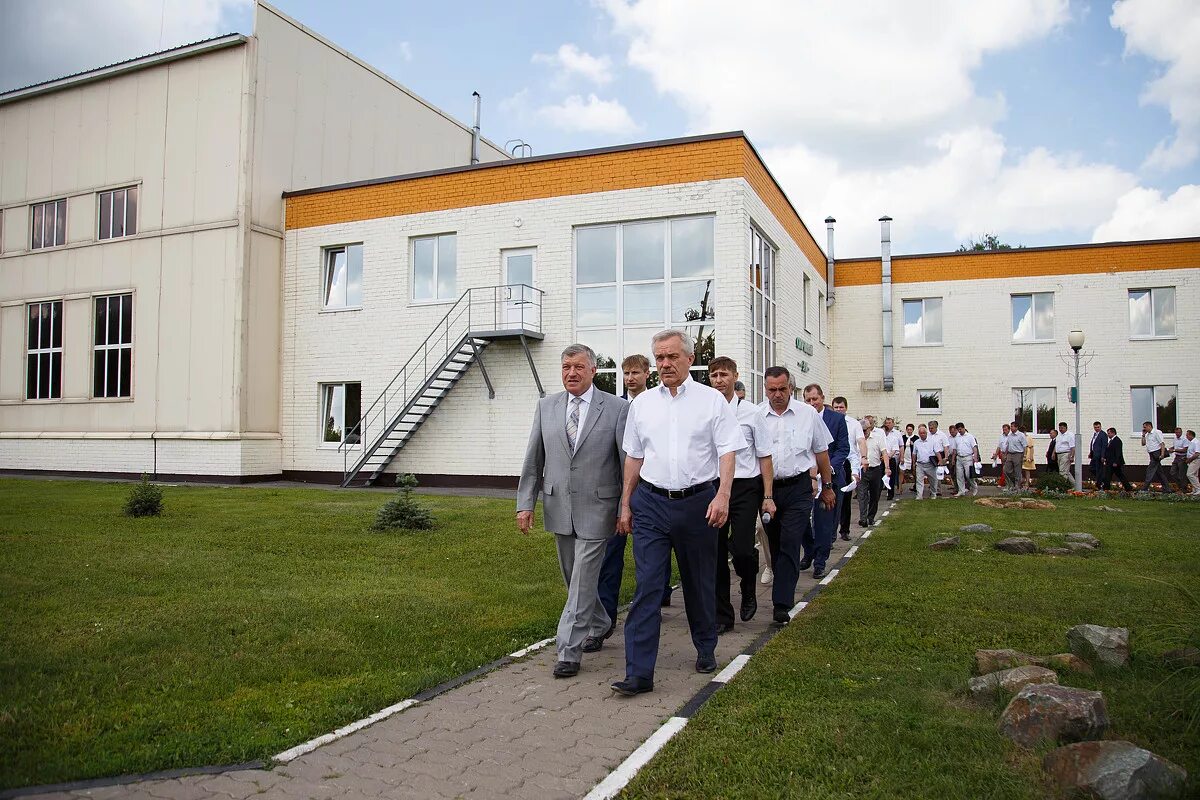 Глава Губкинского городского округа Белгородской. Администрация города Губкин. Глава Губкинского района Белгородской области. Проект губернатора Белгородской области. Сайт губкинского городского суда