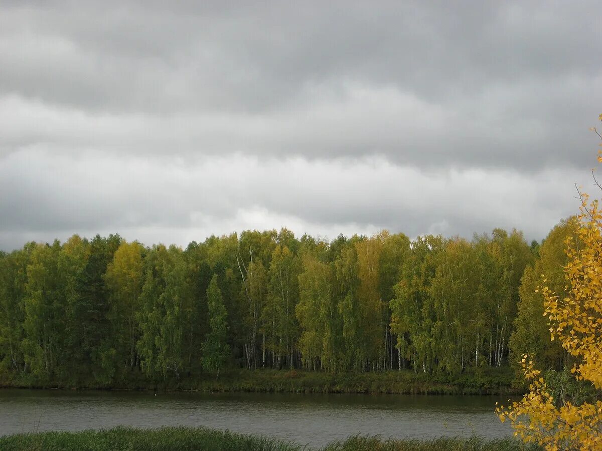 Село первомайское томская область. Поселок орехово томская область. Пос орехово первомайского р-на томской обл. Поселок орехово томская область. Поселок орехово томская область.
