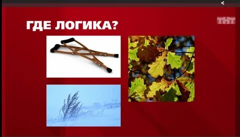 Где найти где логика