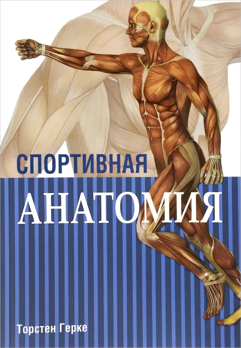 Книги про спортсменов. Торстен Герке спортивная анатомия. Спортивная анатомия книга. Книги о спорте. Книга по спортивной анатомии.