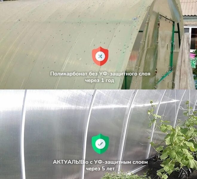 Монолитный поликарбонат для теплицы. Сотовый поликарбонат для теплиц. Теплица ржавеет. Почему желтеет теплица из поликарбоната. Желтая теплица.