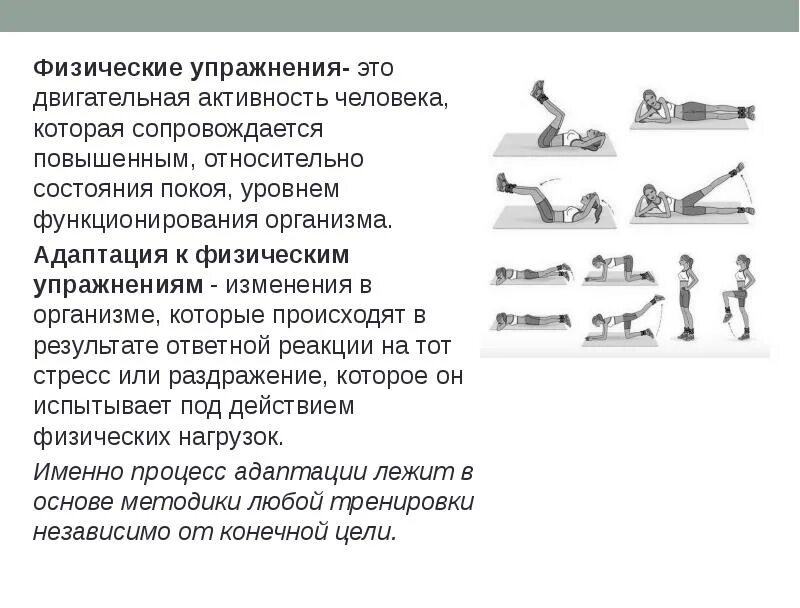 Адаптация к физическим упражнениям упражнения. Классификация физических упражнений. Типы физических тренировок. Классификация упражнений в физической культуре.