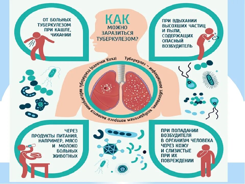 Где заражаются туберкулезом. Источник заболевания туберкулезом. Основные источники заражения туберкулезом. Пути заражения туберкулезом. Пути передачи туберкулеза.