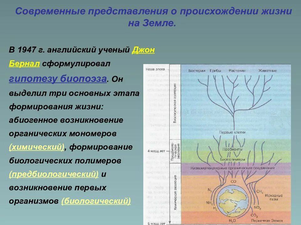 Один из авторов абиогенного происхождения жизни. Современные представления о возникновении жизни этапы. Современные представления о жизни на земле. Современные представления о возникновении жизни на земле. Абиогенное возникновение жизни на земле.