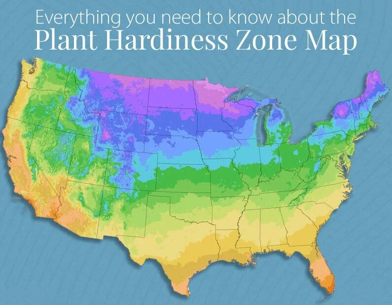 USDA Zones Plant Hardiness. Hardiness Zone Map. Hardiness Zone Map USA. Зоны морозостойкости растений.