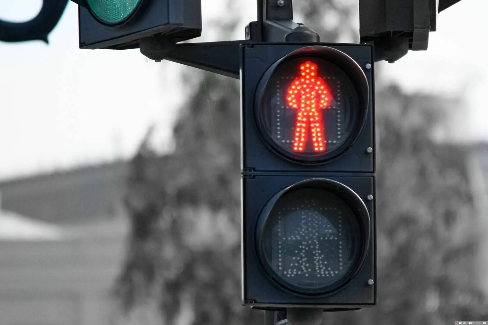 Красный свет пешеход