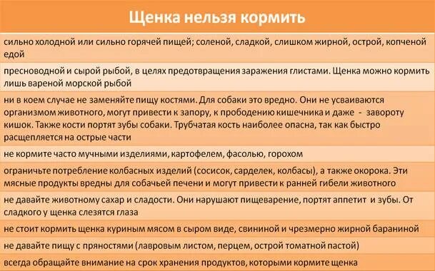 Можно давать щенку рыбу. Как кормить 1 месячного щенка. Кормление 5 месячного щенка немецкой овчарки. Чем кормить щенка 3 месяца. Чем кормить щенка в 1.5 месяца.