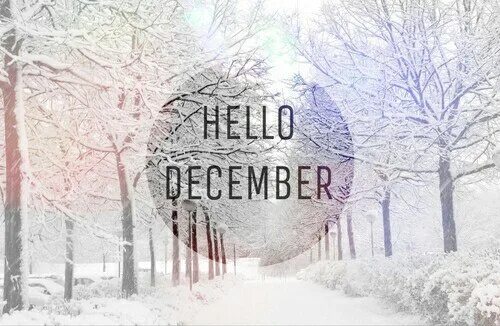 December first. Привет декабрь. Открытки hello December. Надпись hello December. Привет декабрь картинка.