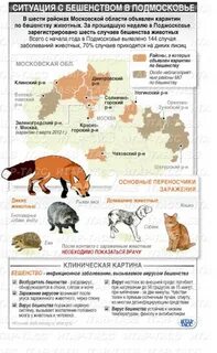 Сколько зараженных животных