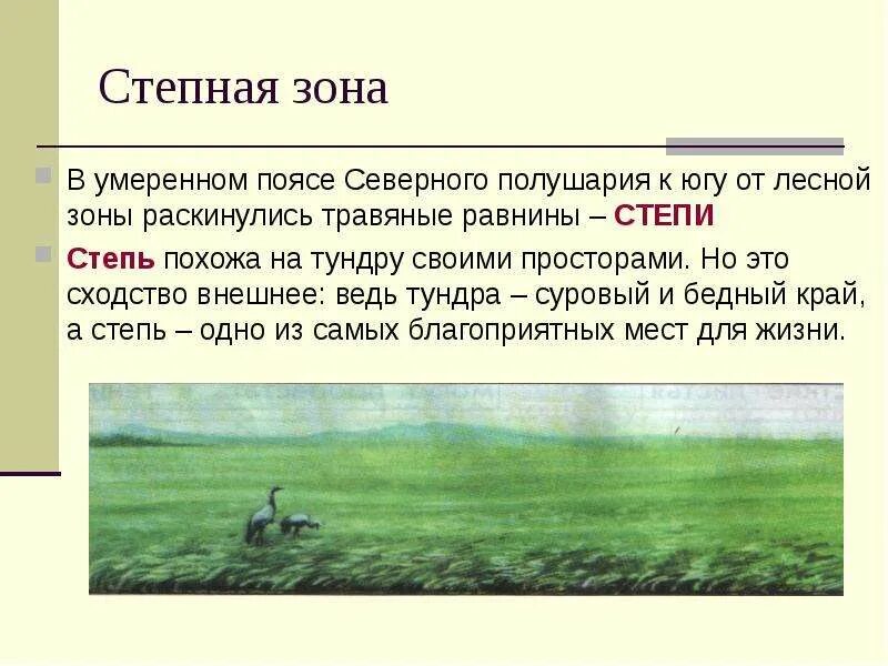 Климат тундры и степи. Умеренный пояс степи. Презентация засушливые зоны умеренного пояса. Сходства тундры и степи. Степи умеренной зоны.