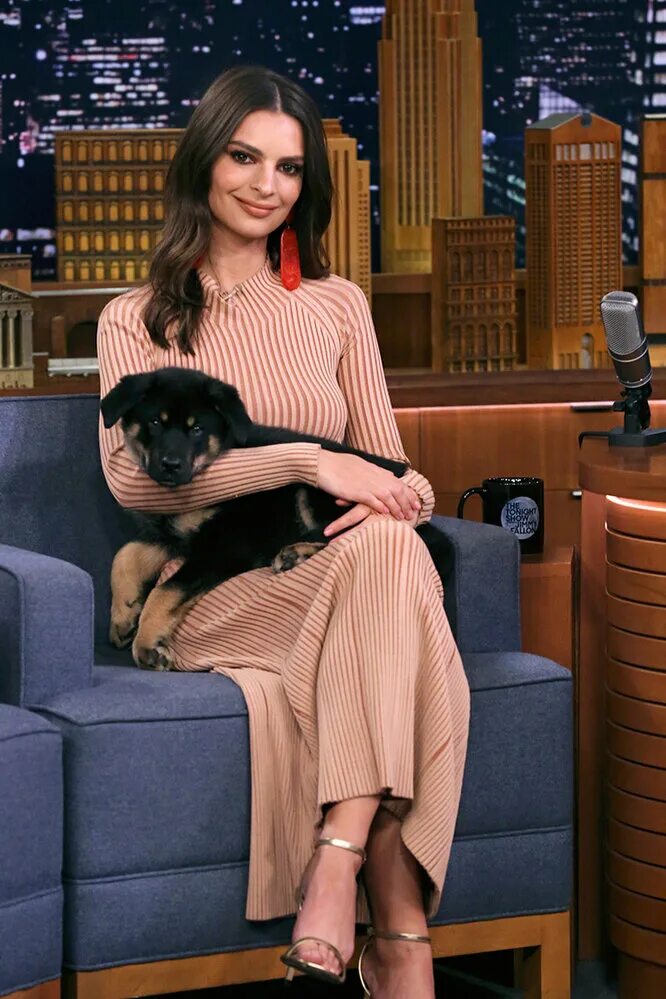 Фф любимец блогера. Emily Ratajkowski Jimmy Fallon. 10 Самых Звездных питомцев ведущая.