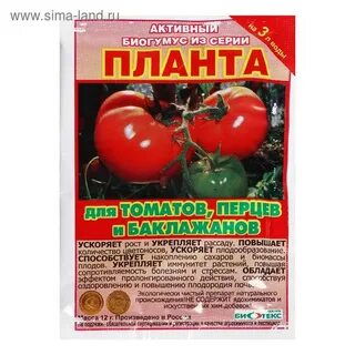 Планта нова