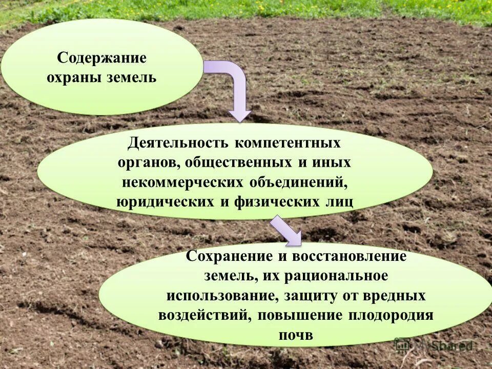 Правовая охрана земельных ресурсов. Правовой режим охраны земель. Содержание охраны земель. Регулирование охраны земли.