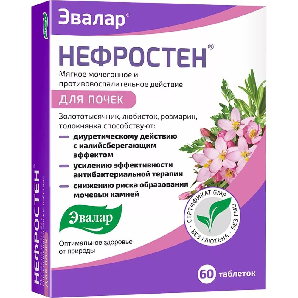 Мочегонное для женщин после 50. Нефростен пробиотик Эвалар. Нефростен таб №60. Нефростен таб.п.п.о.№60. Нефростен (таб.п.п/о n60 Вн ) Эвалар ЗАО-Россия.