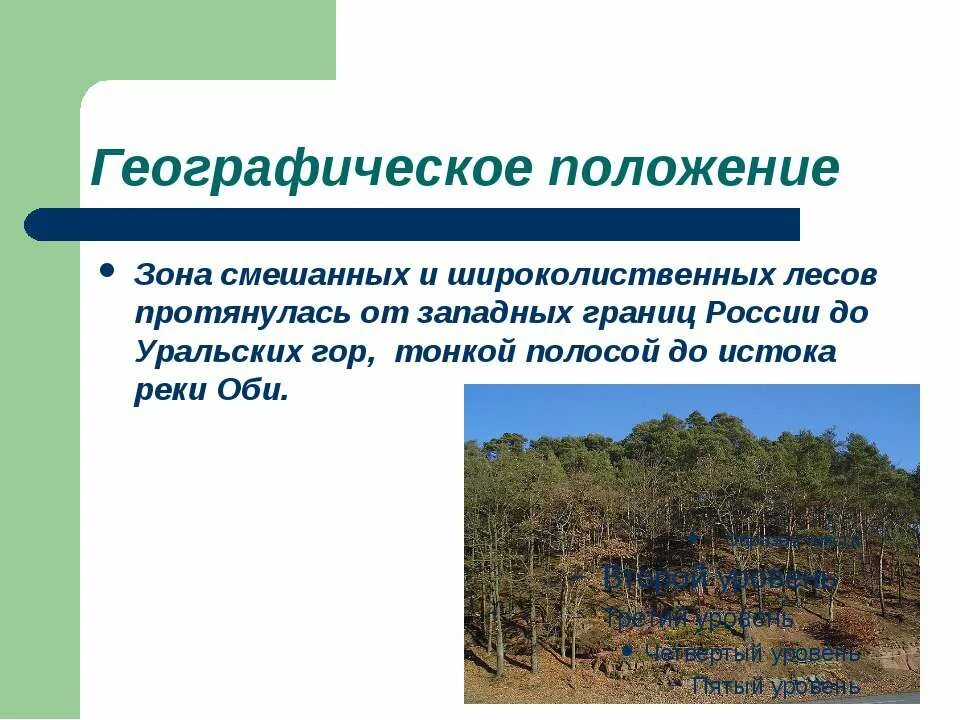 гп смешанных и широколиственных лесов. географическое положение зоны смешанных лесов в россии. гп смешанных и широколиственных лесов. положение зоны смешанных и широколиственных лесов. зона смешанных и широколиственных лесов географическое положение.