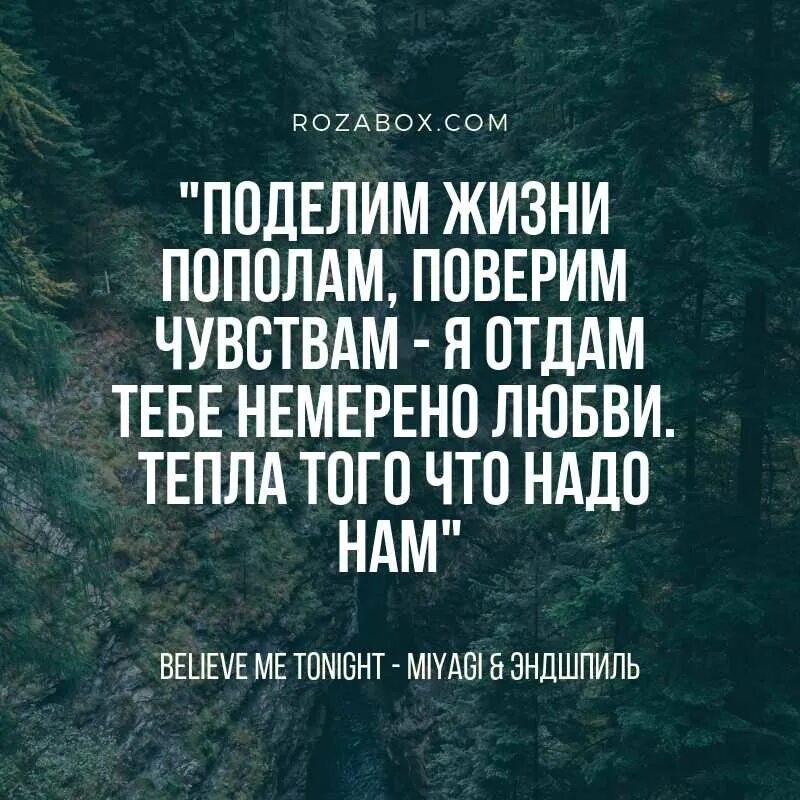 Цитаты из песен мияги. Цитаты строчки из песен мияги. Фразы мияги фразы из песен. Строчки из песен Мияои. Текст песни она делит вайп