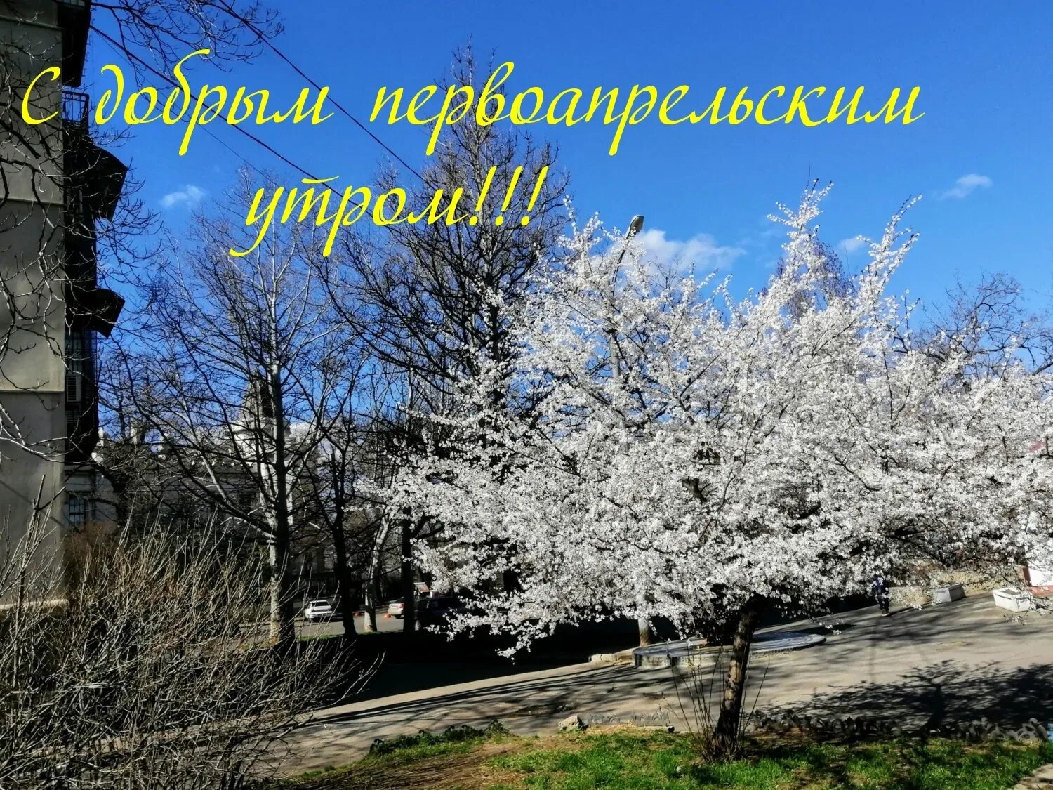 Первый день апреля доброе утро. С апрельским утром. с добрым апрельским утром природа. доброе первоапрельское утро.