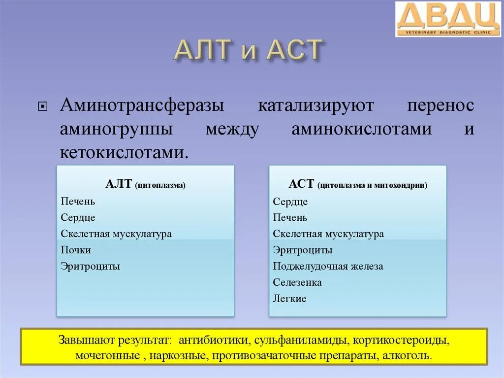 Алт и аст за что отвечают