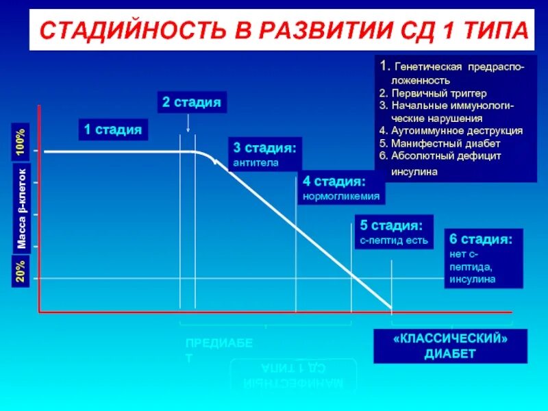 Сд 01. Стадии развития СД 2 типа. СД 1 типа. Фазы СД 1 типа. СД 1 типа графики.