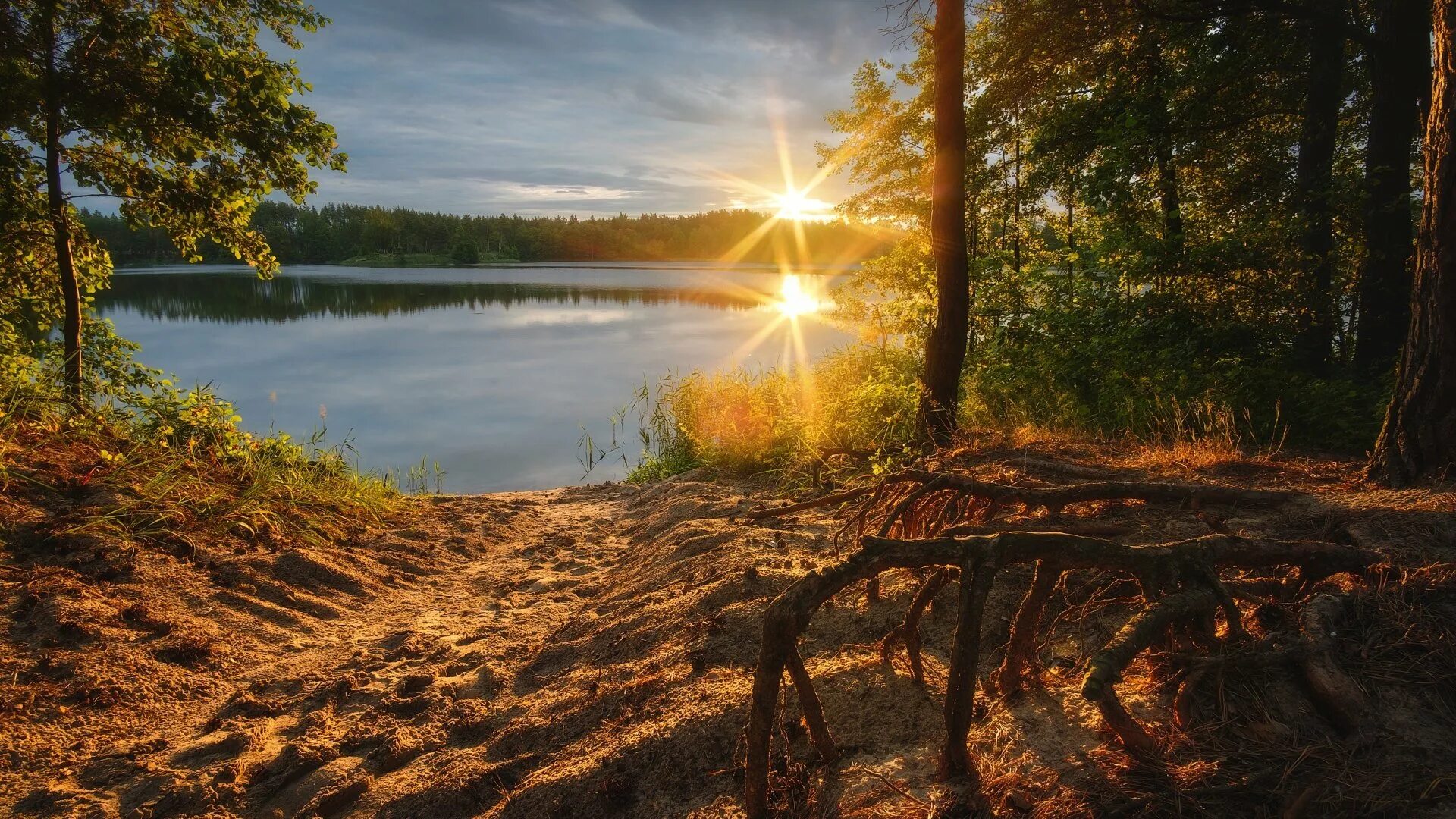 Солнце над лесом. Озеро Лайдака. Берег озера в лесу. Природа река солнце. Лето река солнце.