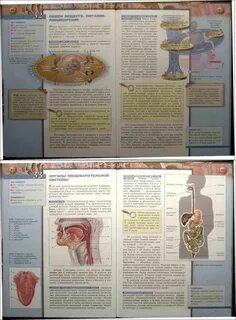 Учебник по биологии 8 класс сухорукова