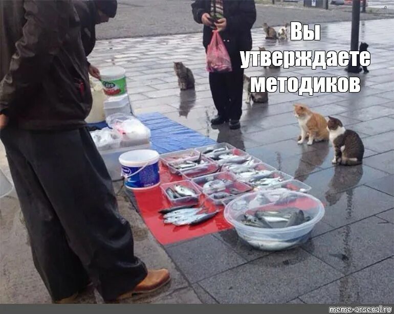 Собеседование. Шутки про дураков. Нет просто пока. Нет просто пока. Нет просто пока.