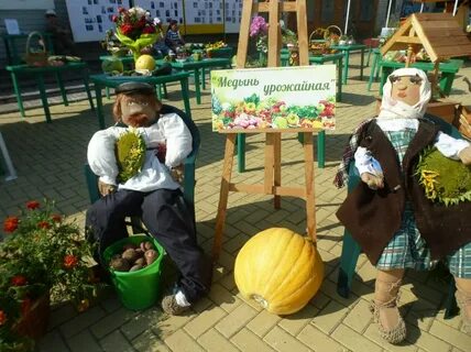 Медынь день