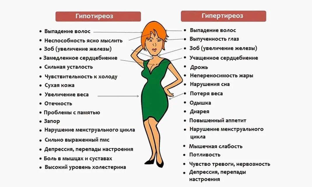 Признаки заболевания щитовидной железы у женщин симптомы
