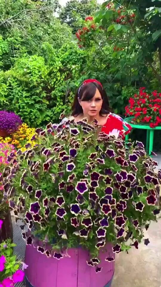 Марина патрина зацветет биография личная жизнь НЕВЕРОЯТНЫЕ ПЕТУНИИ ИЗИ ВЭЙВ Семена Партнер Дзен