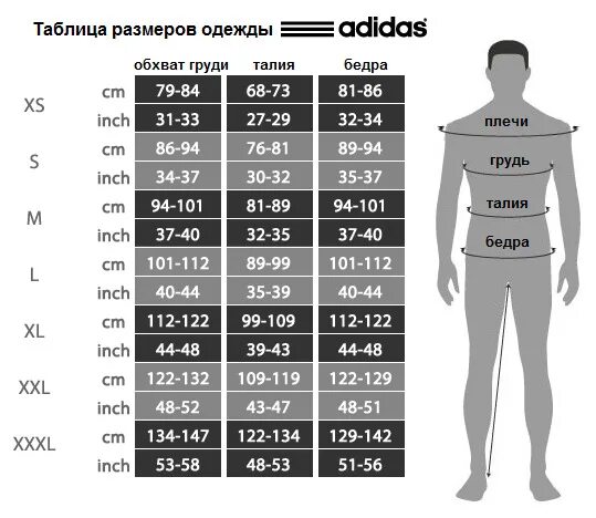 Размер парней. Adidas Размерная сетка одежды. Размерная сетка штанов адидас. Размерная сетка штанов adidas. Adidas Размерная сетка мужской верхней одежды.