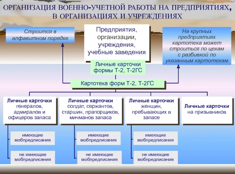 Военно учетный. Картотека карточек т-2 по воинскому учету. Картотека воинского учета в организации. Порядок организации воинского учета. Воинский учет схема.