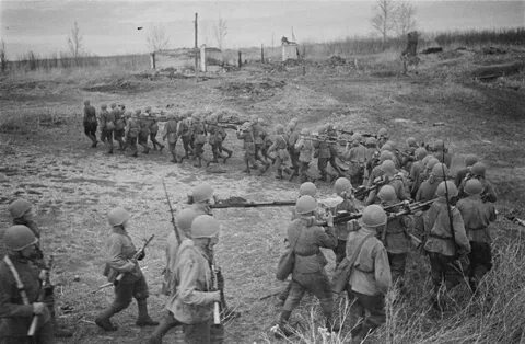 Вов 1942