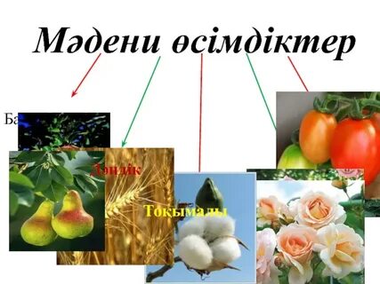Жезөкше татуировкаларының мысалдары