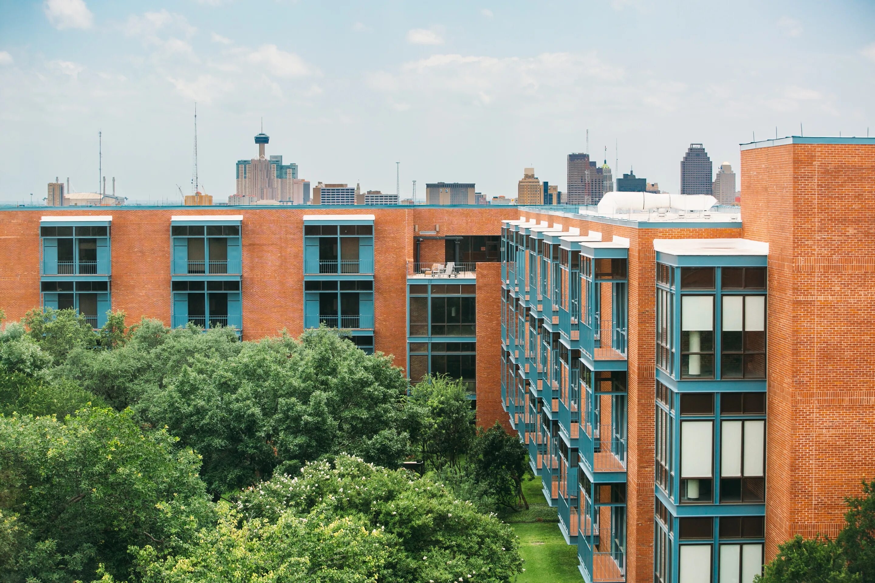 Trinity university
