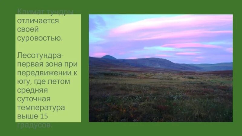 Зона лесотундра Западно сибирской равнины. Тундра и лесотундра климат. Климат лесотундры Западной Сибири. Тундра, лесотундра Западной Сибири климат. Температура в тундре и лесотундре