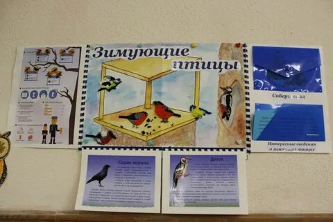 Лэпбук зимующие птицы