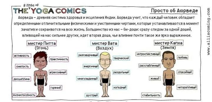 питта доша. аюрведа питта-вата доша. питта-капха конституция аюрведа. питта конституция аюрведа. аюрведы определение.