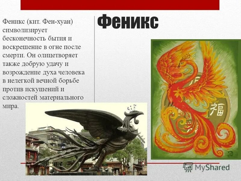 рарог сокол феникс финист. феникс мифология. феникс возрождение феникс возрождение. «финист – ясный сокол». феникс восстание из пепла.