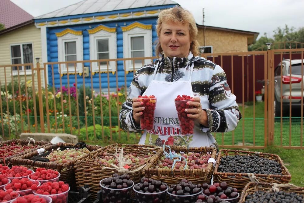 Новоселки Рязанская область фестиваль малина. Фестиваль малины в Рыбновском районе Рязанской области. Рязанская область Рыбновский район село Новоселки. Гастрономический фестиваль малина Рязань.