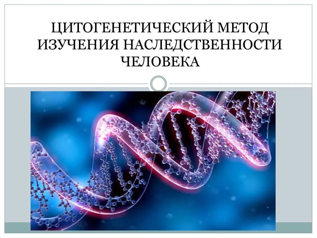 Методы изучения структуры днк. Цитогенетический метод. цитогенетические методы исследования. цитогенетический метод исследования. цитогенетические методы изучения наследственности человека..