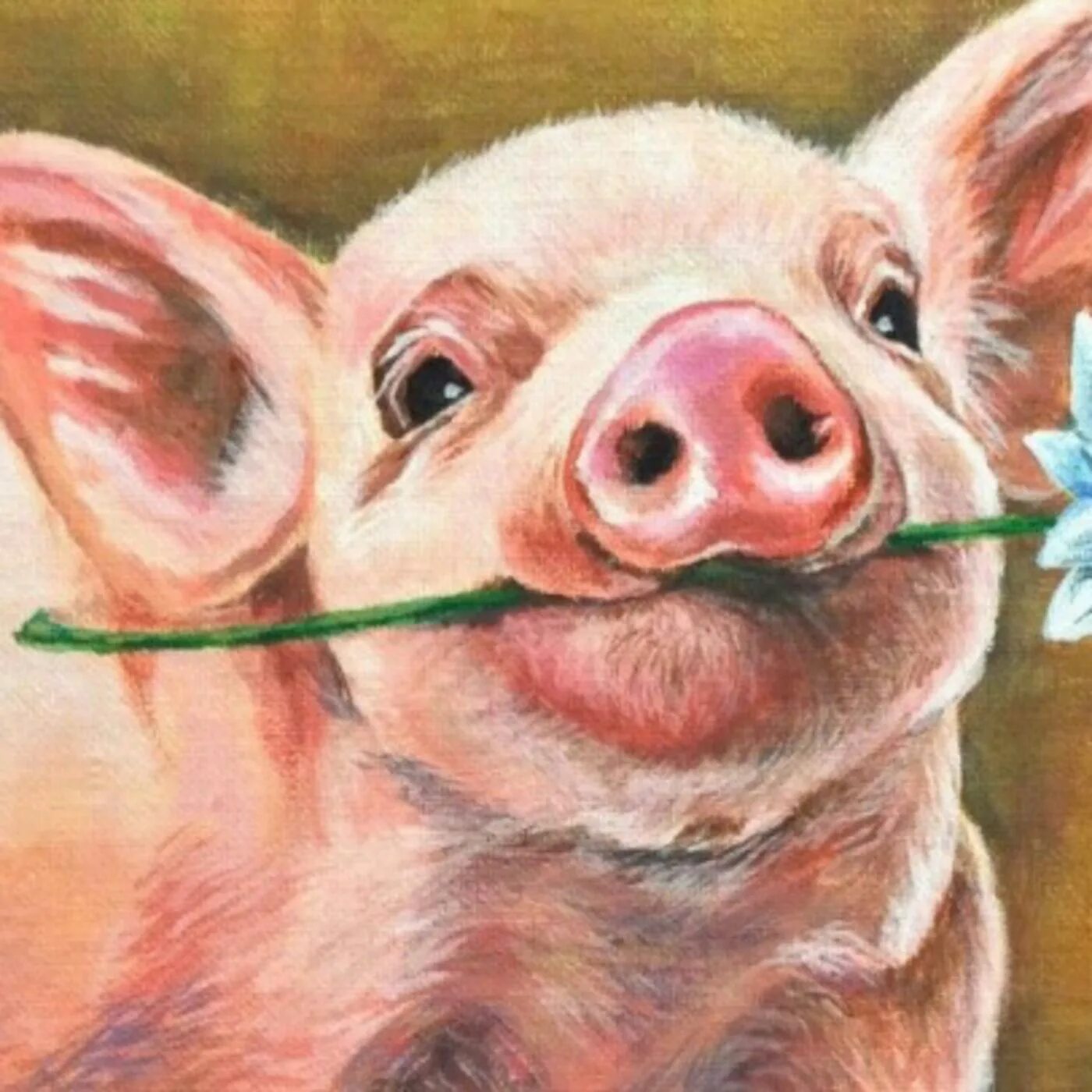 Просто свинка. Смешные хрюшки. Поросенок живопись. Свинья картина. Портрет свиньи.