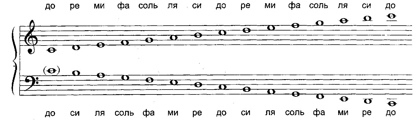 Ноты скрипичного ключа. Расположение нот на нотном стане в басовом Ключе. Малая и большая Октава в басовом Ключе. Нотный стан басовый ключ фортепиано. Басовый ключ расположение нот на фортепиано.