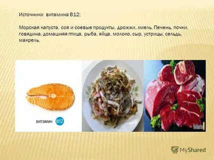 Капуста источник витамина