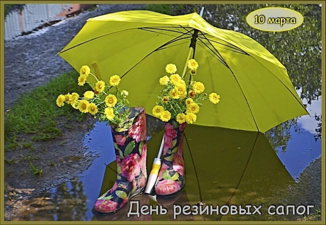 Доброе утро в дождливую погоду. Хорошего нас иоения в лю.ую МОГОДК. Зонтик с пожеланиями. Солнечного настроения в дождливый день. Хорошего настроения в дождливую погоду.