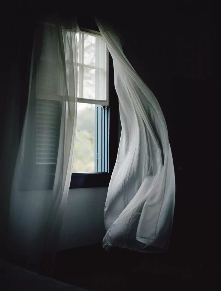 Window open blank