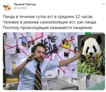 Панда пандемия