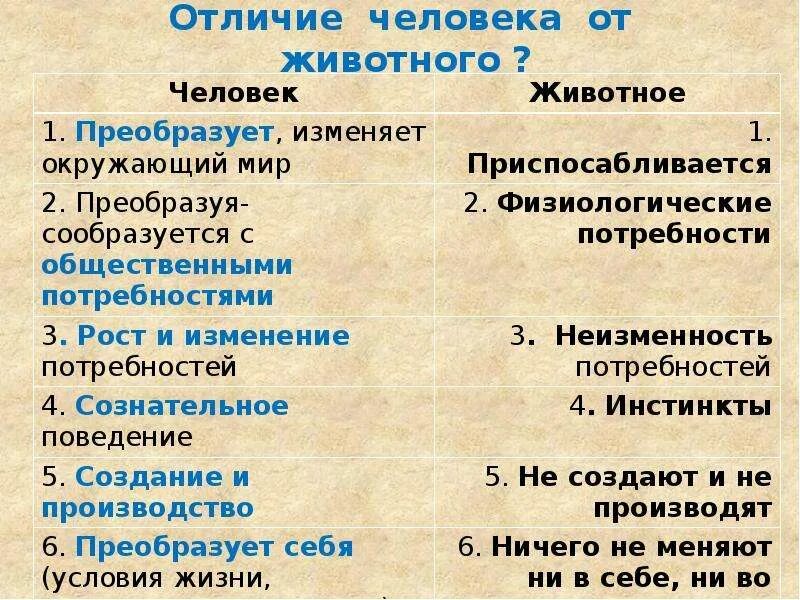 Чем отличается человек от животного 5 отличий. Чем отличается человек от животного 5 отличий
