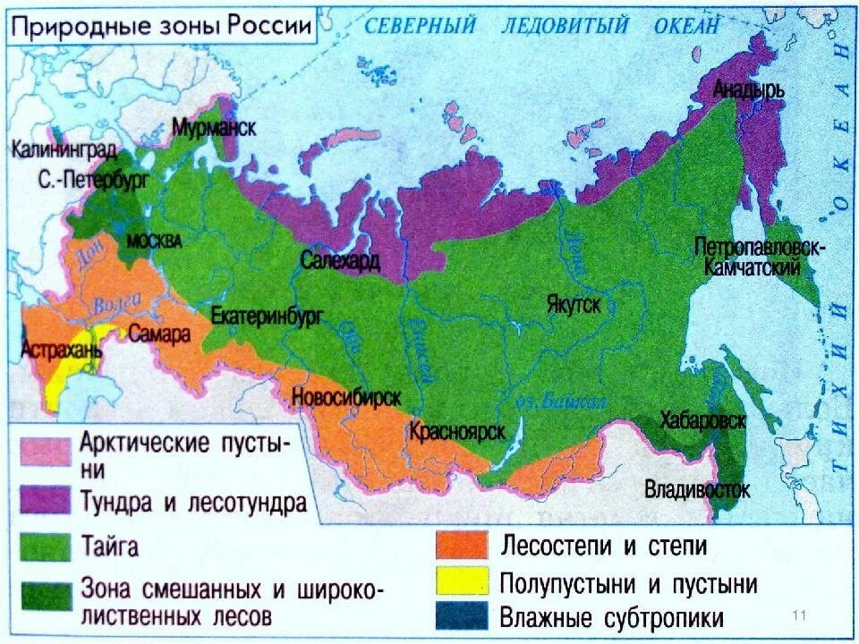 7 природных зон россии 4 класс