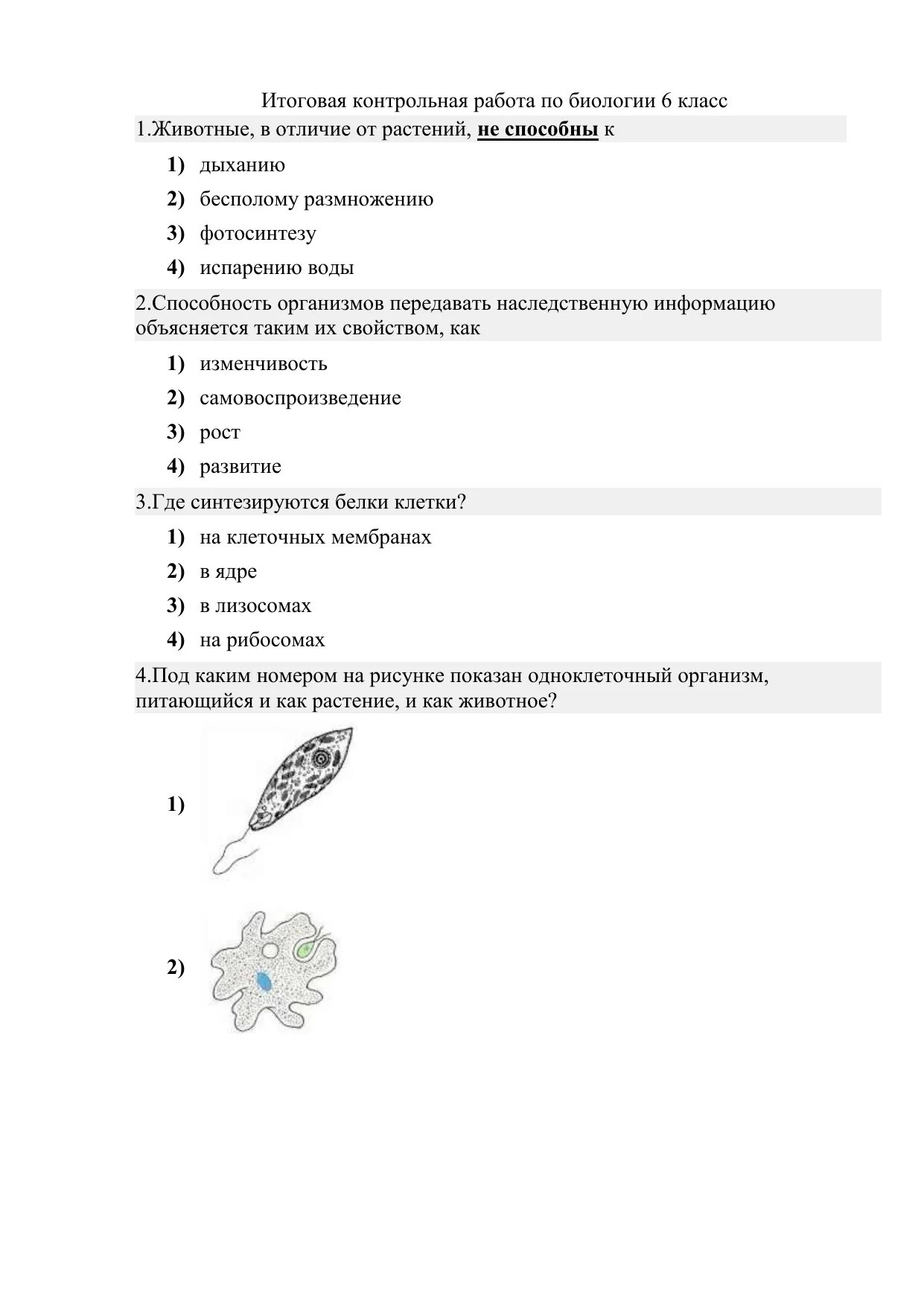 Годовая контрольная работа по биологии ответы. Биология 6 класс контрольная. Контрольные работы по биологии 6 класс Пономарева. Контрольная биология 6 класс Пономарева. Биология 6 класс контро.