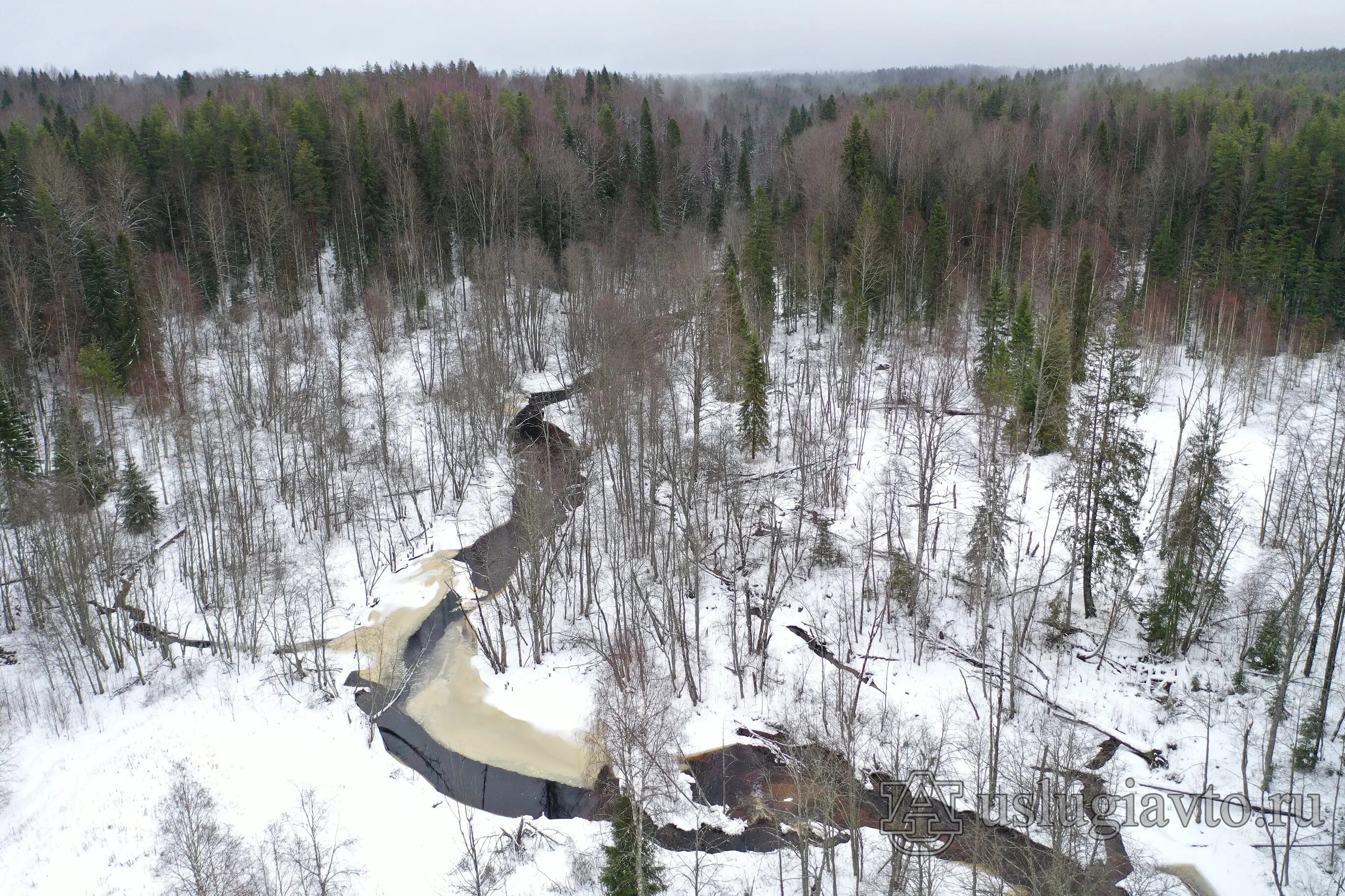 погода усть-луга. ленинградская область климатический район. поселок сарка. погода в сарке лен обл. ленинградская область.